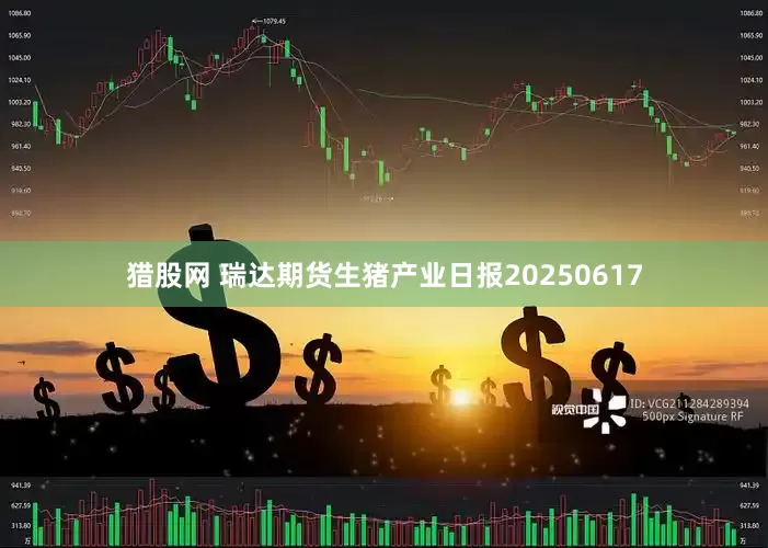 猎股网 瑞达期货生猪产业日报20250617