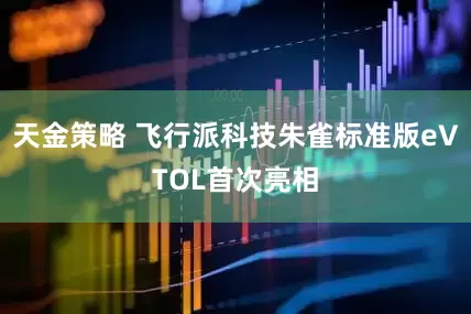 天金策略 飞行派科技朱雀标准版eVTOL首次亮相