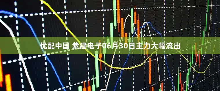 优配中国 紫建电子06月30日主力大幅流出