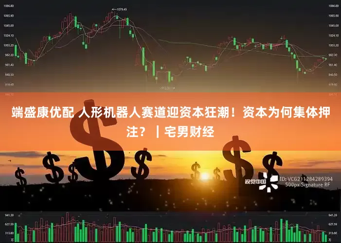 端盛康优配 人形机器人赛道迎资本狂潮！资本为何集体押注？｜宅男财经