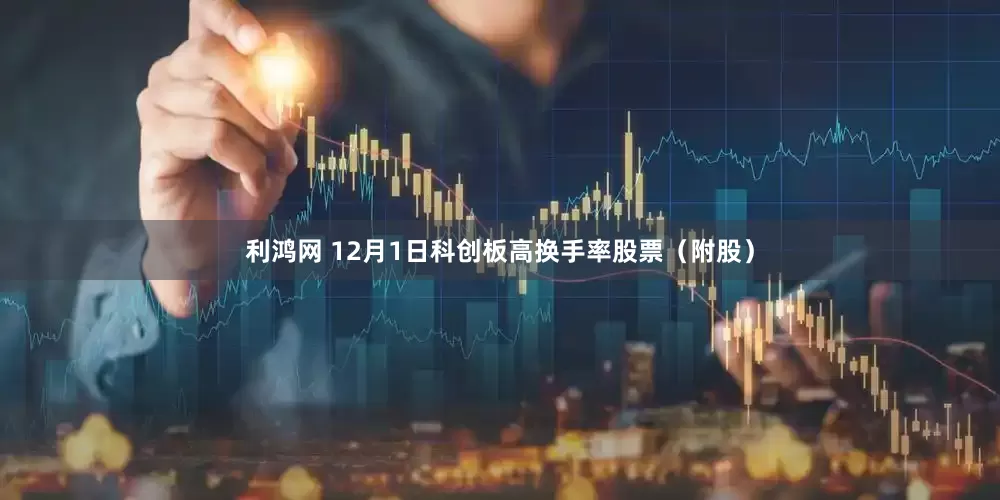 利鸿网 12月1日科创板高换手率股票(附股)