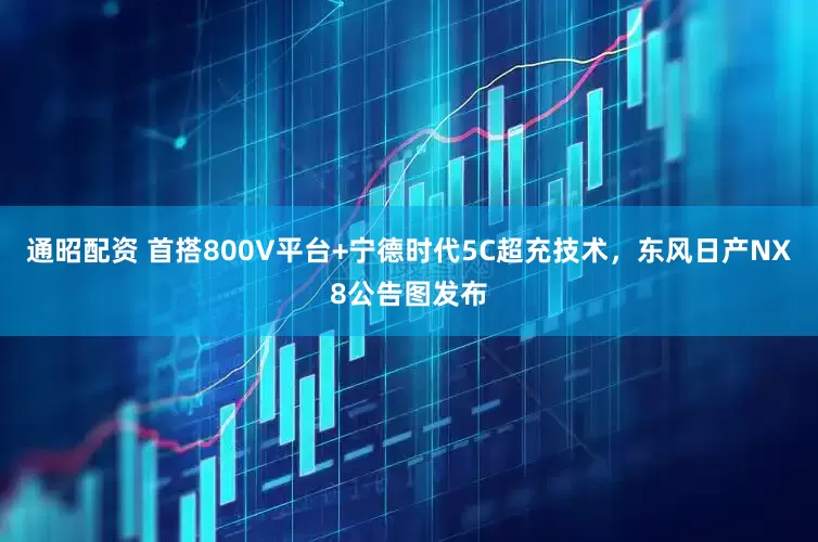 通昭配资 首搭800V平台+宁德时代5C超充技术，东风日产NX8公告图发布